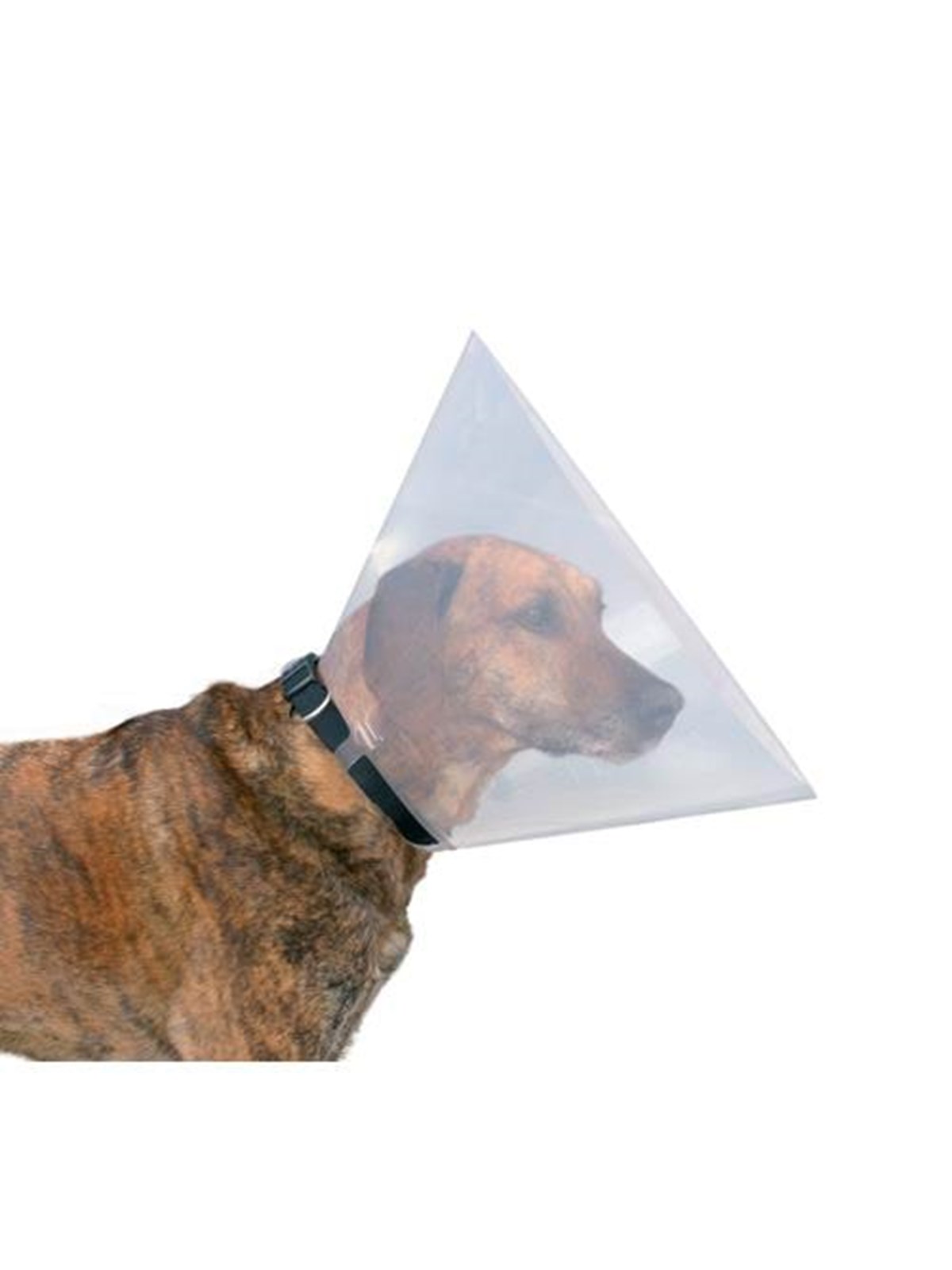 Trixie Protective collar plastic XS-S: 22-25 cm/10 cm