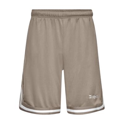 Dropsize "Dropsize Herren Dropsize Logo Mesh Shorts"