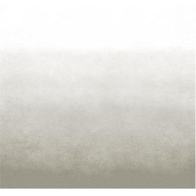 Fototapete VTWONEN "Degrade", grau, B:3m L:2,8m, Vlies, Tapeten, Grau - 300x280 cm