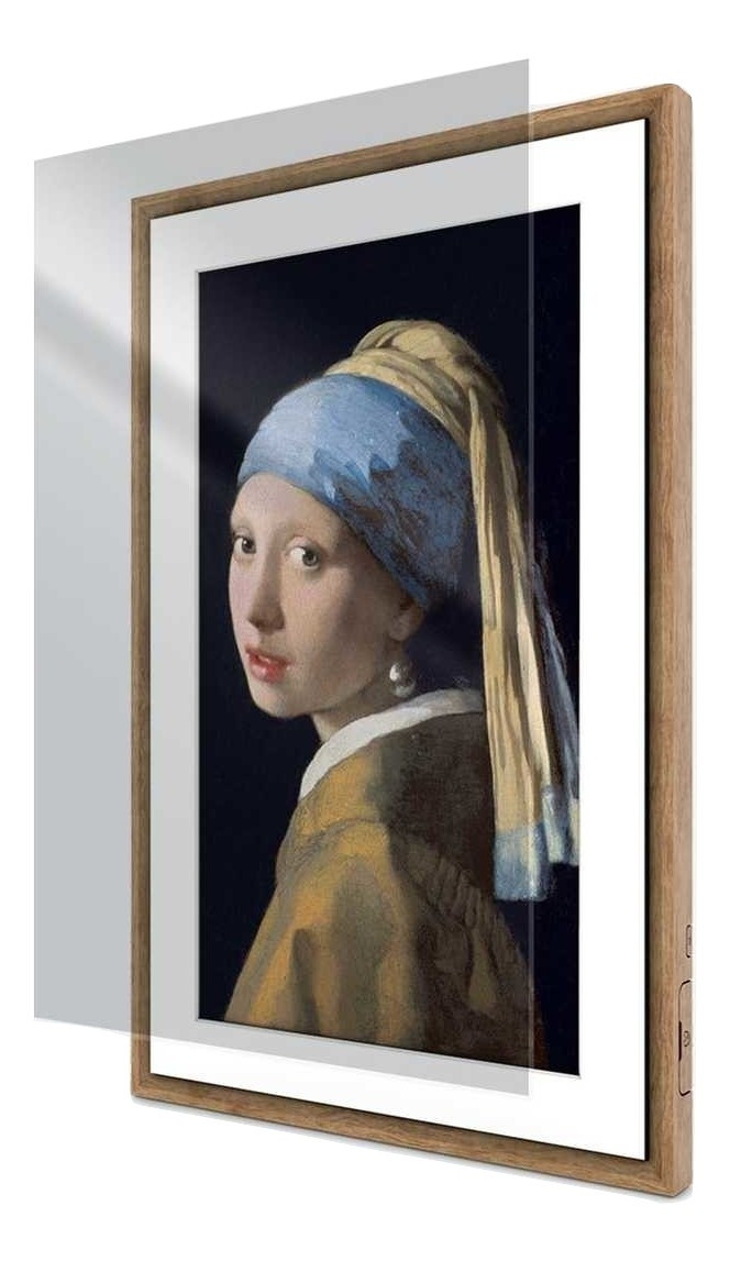 Netgear MEURAL canvas 21,5 inch (55 cm) met kunststof bescherming en accessoires