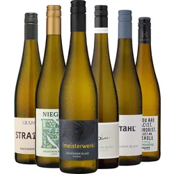 6er-Probierpaket »Sauvignon Blanc aus Deutschland«