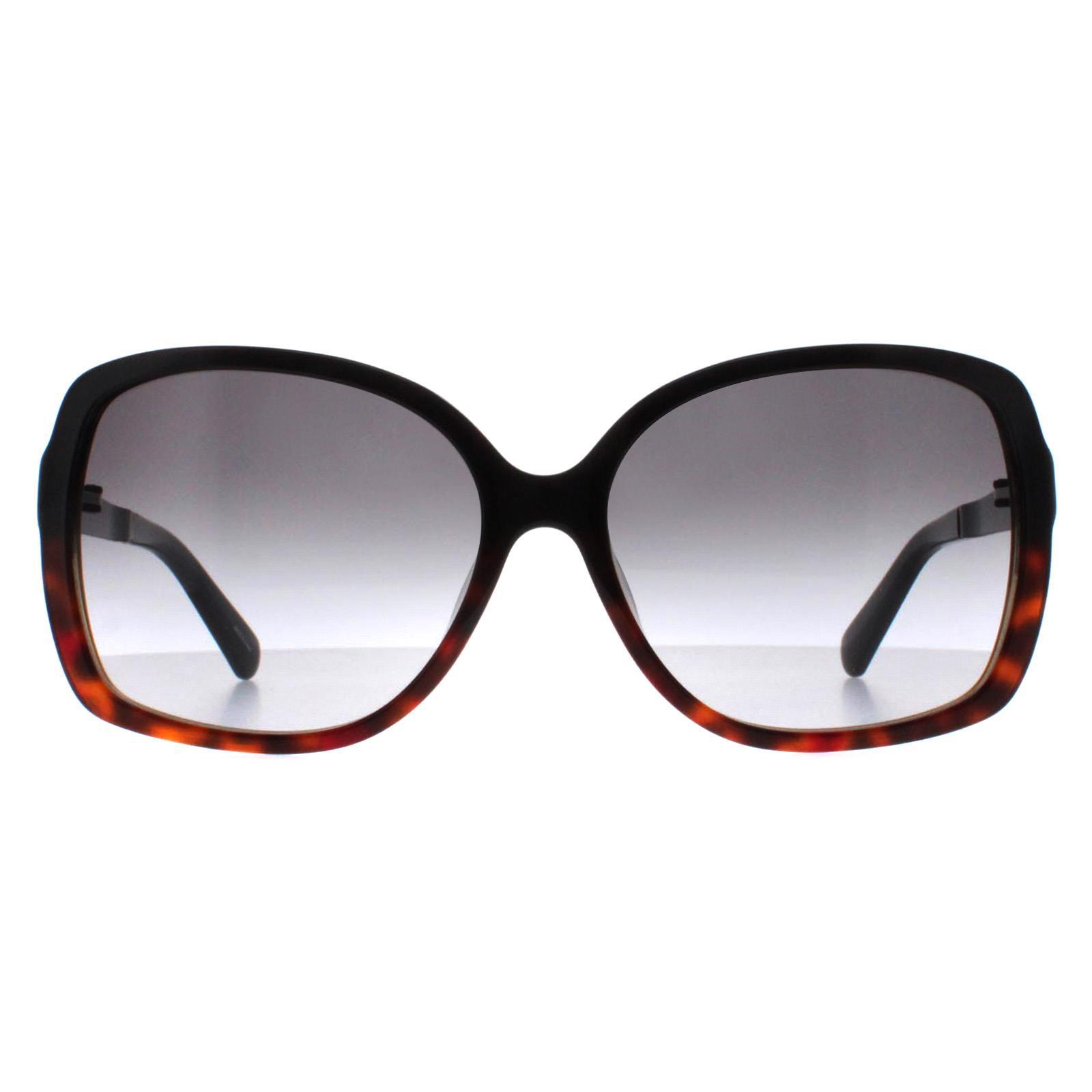 Kate Spade Buttefly Vrouw Zwart Tortoise Fade Grijs Gradiënt Darilynn/S