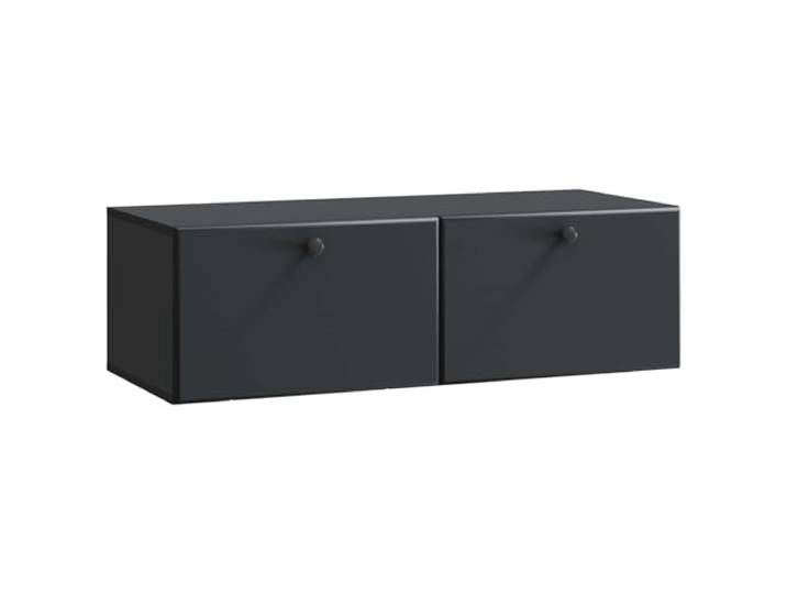 HAQWRDQSG TV Lowboard Hängend 98x41x30cm Schwarz Fernsehschrank Schafft Bodenfreiheit im Schlafzimmer dank Wandmontage, 60 kg Belastbarkeit und 90-Grad-Klapptüren für schnellen Zugriff.