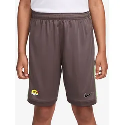 NIKE Kylian Mbappé Academy 25 Dri-FIT Shorts Kinder 291 - plum eclipse/plum eclipse/black XL (158-170 cm)