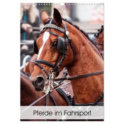 Pferde im Fahrsport (Wandkalender 2027 DIN A3 hoch), CALVENDO Monatskalender