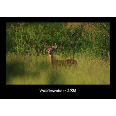 Waldbewohner 2026 Fotokalender DIN A3