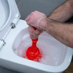 ROTHENBERGER Industrial Pömpelset inkl. 1x RoPü Maxi für Toilette 1x RoPü Mini für Waschbecken und Dusche - 1500005292