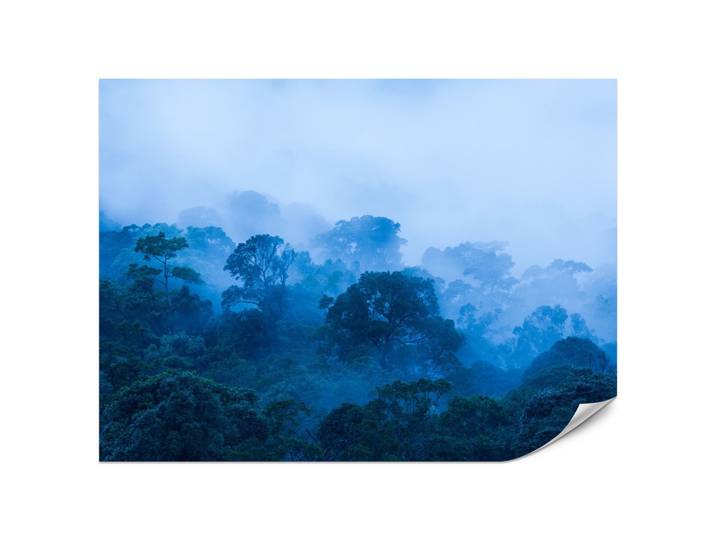 FOTOTAPETE für Wohnzimmer Tropischer Laubwald Nebel Dschungel 200x140