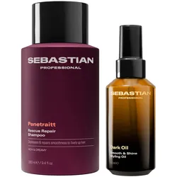 345ml Sebastian Silky Shine Set (Shampoo 250ml + Haaröl 95ml)
