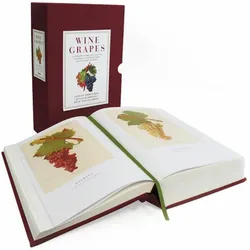 Wine Grapes, Ratgeber von Jose Vouillamoz, Jancis Robinson, Julia Harding