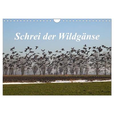 Schrei der Wildgänse (Wandkalender 2026 DIN A4 quer), CALVENDO Monatskalender