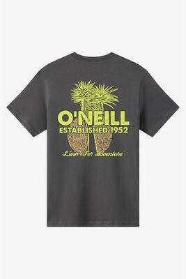 O'Neill s Landmark Classic T-Shirt in Dark Shadow, Size Small