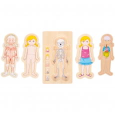 small foot Holzpuzzle Anatomie 271500