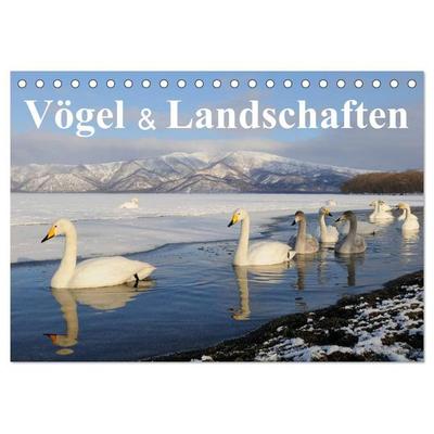 Vögel & Landschaften (Tischkalender 2026 DIN A5 quer), CALVENDO Monatskalender