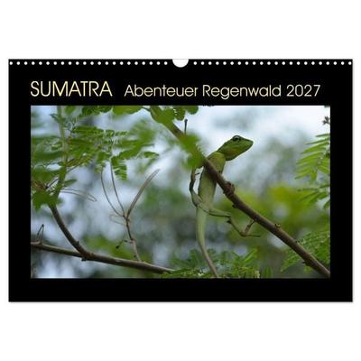 SUMATRA Abenteuer Regenwald (Wandkalender 2027 DIN A3 quer), CALVENDO Monatskalender