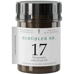 SCHÜSSLER NR.17 Manganum sulfuricum D 6 Tabletten 400 St