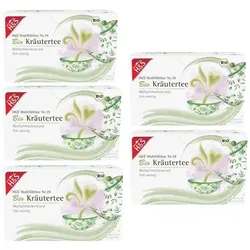 H&S Wohlfühltee Bio Kräutertee 5er Set 5X20X1,5 g Filterbeutel