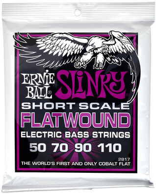 Ernie Ball Flatwound 2817