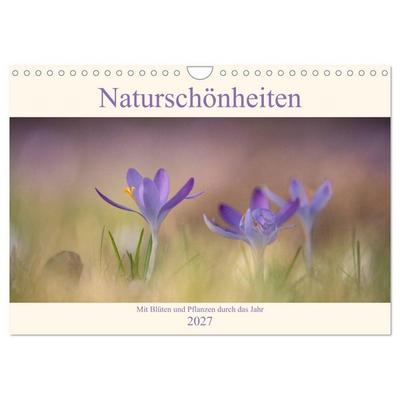 Naturschönheiten - mit Blüten und Pflanzen durch das Jahr (Wandkalender 2027 DIN A4 quer), CALVENDO Monatskalender