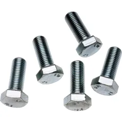 Schrauben DIN 961 silber - 40961 119 0161 045 - silber