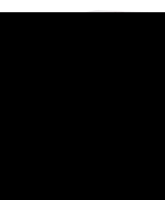 DHU-Arzneimittel GmbH & Co. KG ALOE C 6 Globuli 10 g 07158170