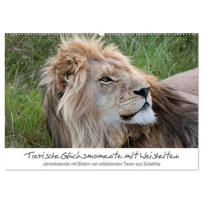 Tierische Glücksmomente mit Weisheiten (Wandkalender 2026 DIN A2 quer), CALVENDO Monatskalender