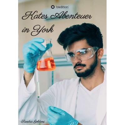Kates Abenteuer in York, Taschenbuch von Sandra Goldoni, Tredition, 978-3-7482-1526-4