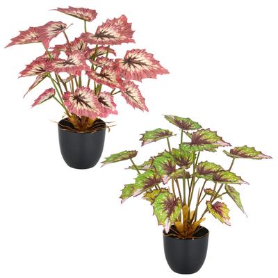 Kunstpflanze CREATIV GREEN "Begonia rex", bunt, H:30cm, Kunststoff, Kunstpflanzen, Kunstpflanze, mit außergewöhnlicher Blattzeichnung