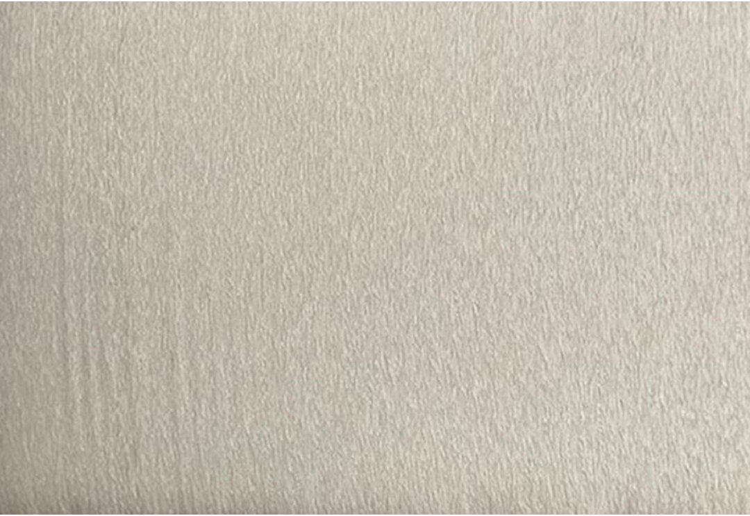 17 Stories Eriana Upholstered Velvet Headboard Ivory Kingsize (5')