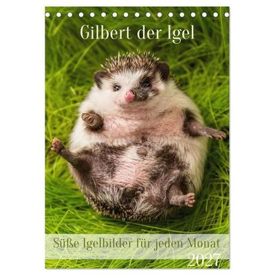 Gilbert der Igel (Tischkalender 2027 DIN A5 hoch), CALVENDO Monatskalender