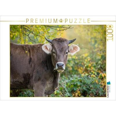 CALVENDO Puzzle Braunvieh auf der Herbstweide | 1000 Teile Lege-Größe 64x48cm Foto-Puzzle für glückliche Stunden
