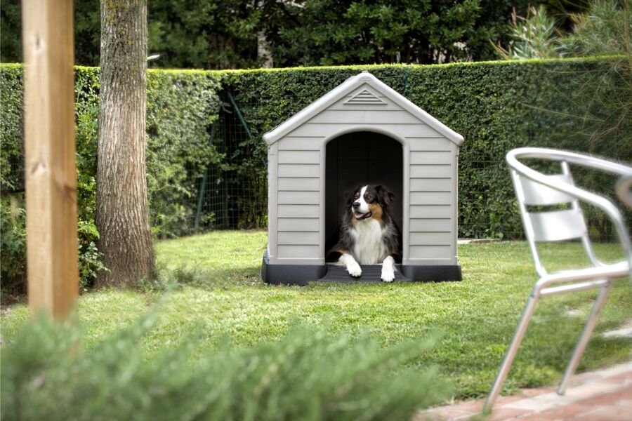Keter CUCCIA PER CANI DOG HOUSE 95X99 H99CM