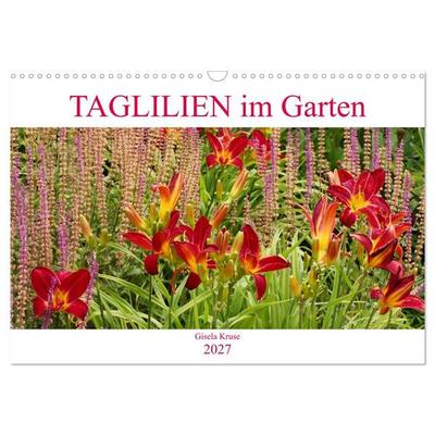 Taglilien im Garten (Wandkalender 2027 DIN A3 quer), CALVENDO Monatskalender