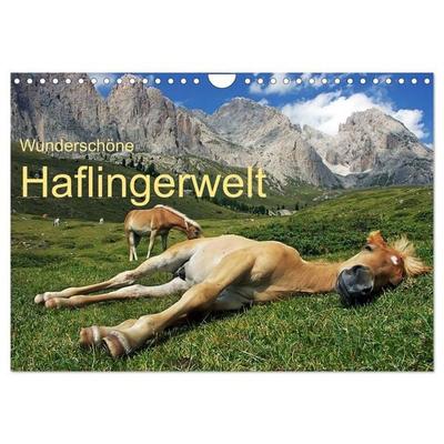 Wunderschöne Haflingerwelt (Wandkalender 2027 DIN A4 quer), CALVENDO Monatskalender