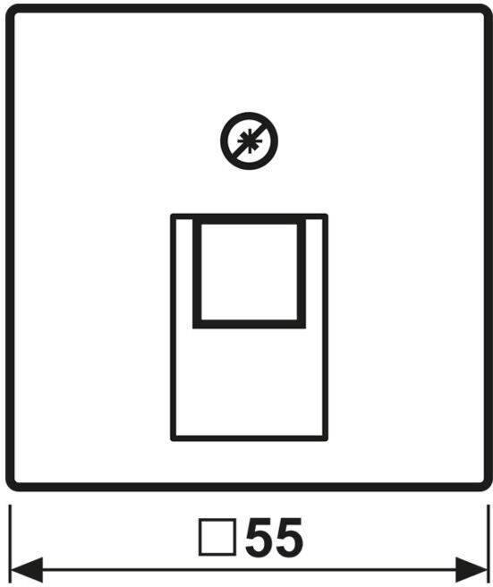 Jung Cache A 569-1 PLUA noir pour prise IAE/UAE (A569-1PLUASW)