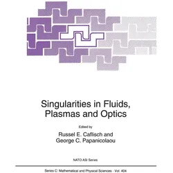Singularities in Fluids, Plasmas and Optics, Fachbücher von George C. Papanicolaou, Russel E. Caflisch