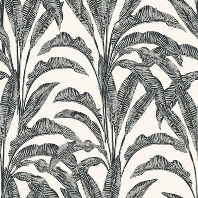 "Veer Decor Luxe Tropical Palm Wallpaper - Roll 20.86""x33ft"