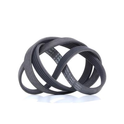 CONTITECH Keilrippenriemen HYUNDAI 5PK1236 ELAST 5PK1236,5PK12361204,5PK12361204ELAST Rippenriemen 2521203000,2521203500