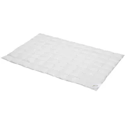 BettwarenShop, Duvet, Premium (240 g, Daune, 200 x 135 cm)
