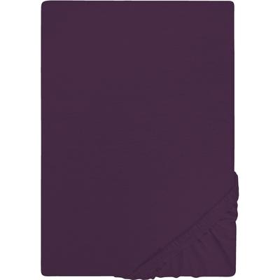 Spannbettlaken "Jersey in Gr. 90x200, 140x200 oder 180x200 cm", lila (dunkelviolett), L:200cm, Jersey, Obermaterial: 100% Baumwolle, CASTELL - MARKENBETTWÄSCHE, Bettlaken, Spannbettlaken, aus Baumwolle, für Matratzen bis 22 cm Höhe, Bettlaken,...