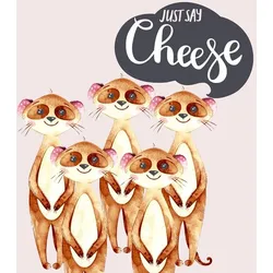 240 Duni Tissue-Servietten 33 x 33 cm Say Cheese 3-lagig