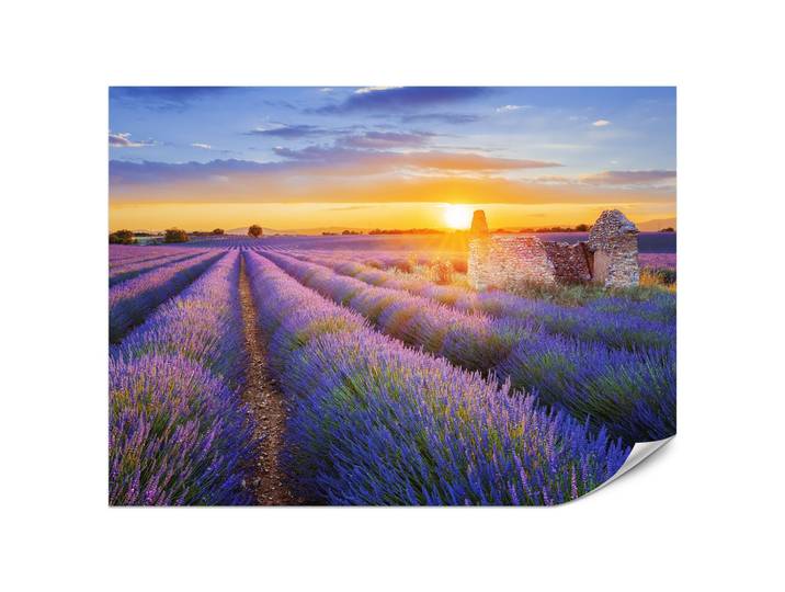 FOTOTAPETE für Wohnzimmer Lavendelfeld Sonnenuntergang Lila 200x140