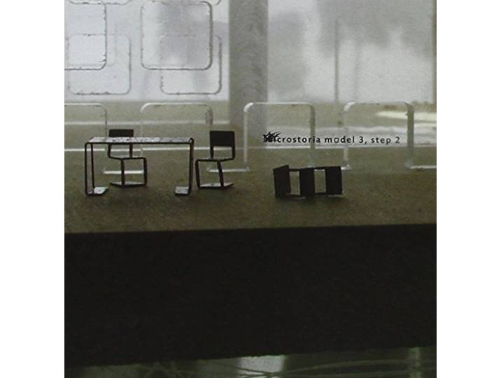 Microstoria - Model 3 Step 2