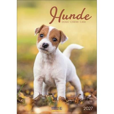 Hunde 2027