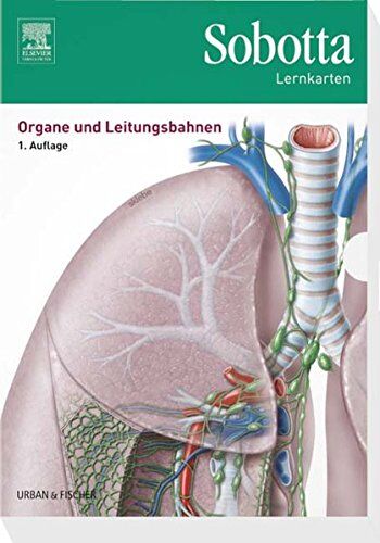 Lars Bräuer - Sobotta Lernkarten Organe und Leitungsbahnen - Preis vom 09.10.2026 07:28:09 h