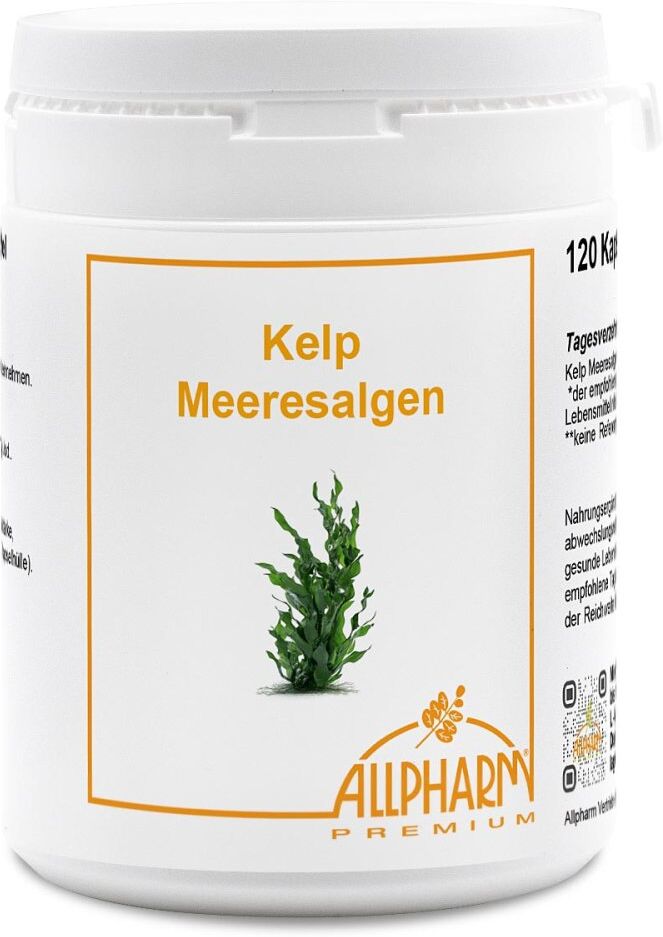 Kelp Meeresalgen Allpharm Premium Kapseln