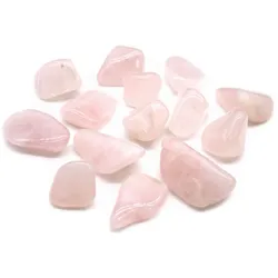 Pack of 24 L Tumble Stone - Rose Quartz