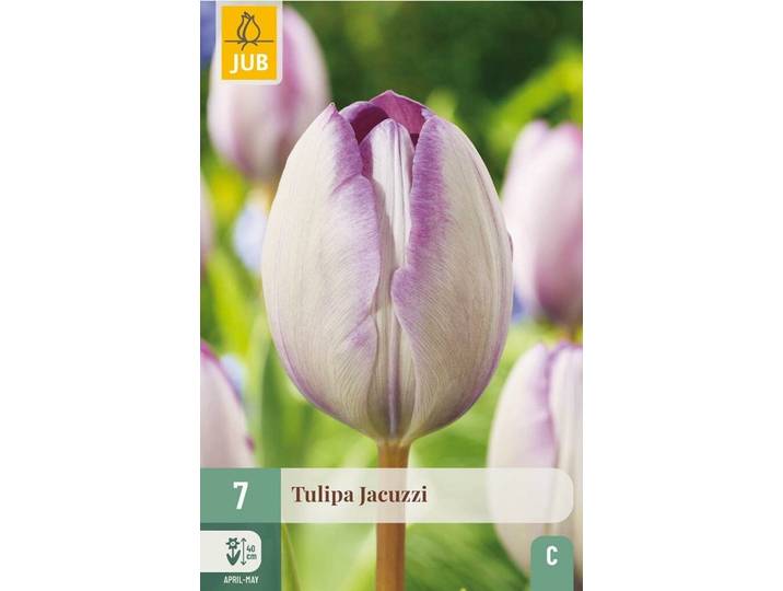 Tulp jacuzzi 7 bollen