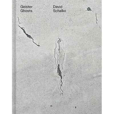 Geister Ghosts, Gebundene Ausgabe von David Schalko, Verlag für moderne Kunst, 978-3-99153-148-7
