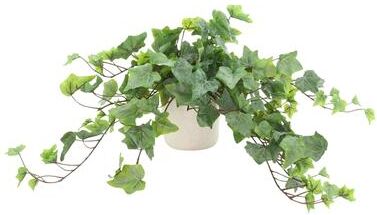 Creative Labs Frosted Ivy in Ceramic Vase